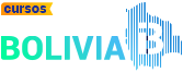 Internet Bolivia